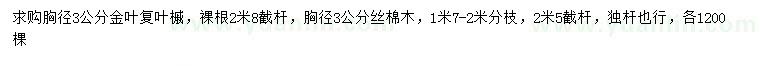 求購3公分金葉復葉槭、絲棉木
