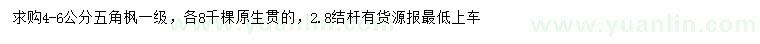 求購4-6公分五角楓