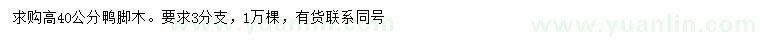 求購高40公分鴨腳木