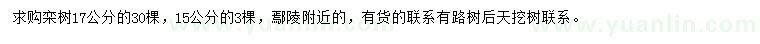 求購(gòu)15、17公分欒樹(shù)
