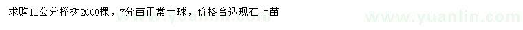 求購11公分櫸樹