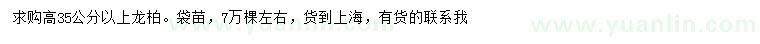 求購高35公分以上龍柏
