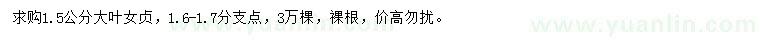 求購(gòu)1.5公分大葉女貞