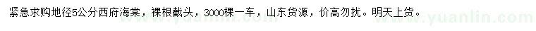 求購地徑5公分西府海棠