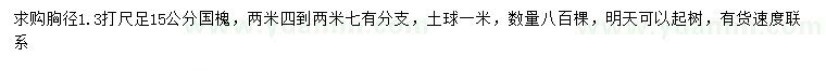 求購胸徑1.3打尺足15公分國槐