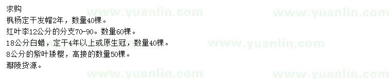 求購楓楊、紅葉李、白蠟等