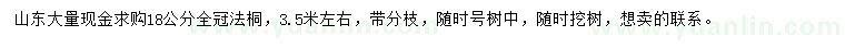 求購18公分法桐