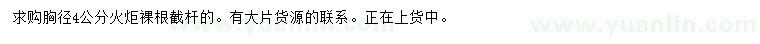 求購胸徑4公分火炬