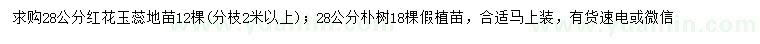 求購(gòu)28公分紅花玉蕊、樸樹