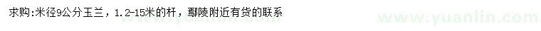 求購米徑9公分玉蘭