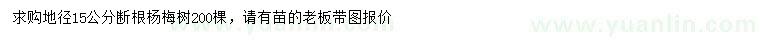 求購地徑15公分楊梅樹