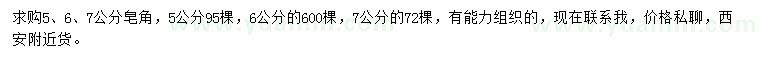 求購5、6、7公分皂角