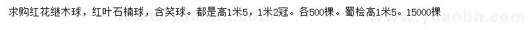 求購紅花繼木球、紅葉石楠球、含笑球等