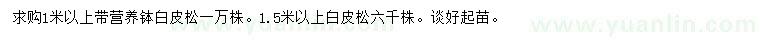 求購(gòu)1、1.5米以上白皮松