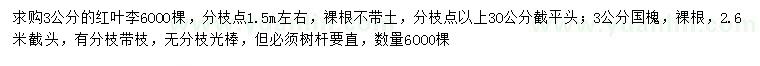 求購3公分紅葉李、國槐