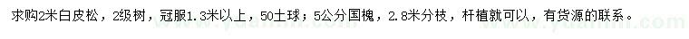 求購(gòu)2米白皮松、5公分國(guó)槐