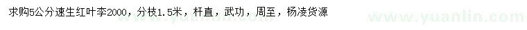 求購(gòu)5公分速生紅葉李