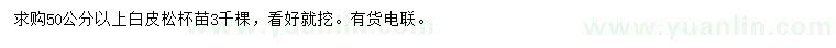 求購50公分以上白皮松