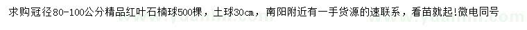 求購冠徑80-100公分紅葉石楠球