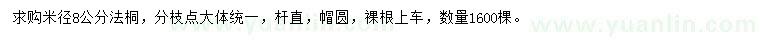 求購米徑8公分法桐