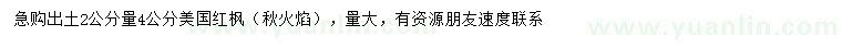 求購出土2公分量4公分美國紅楓