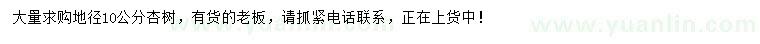 求購地徑10公分杏樹