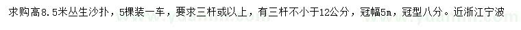 求購(gòu)高8.5米叢生沙撲