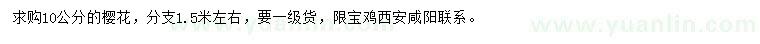 求購10公分櫻花