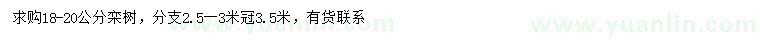 求購(gòu)18-20公分欒樹(shù)