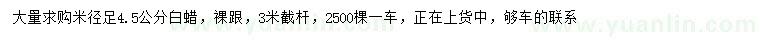 求購米徑4.5公分白蠟