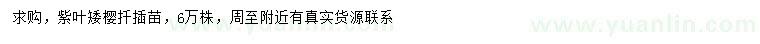 求購紫葉矮櫻
