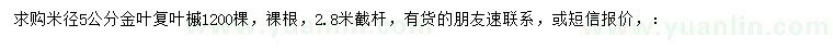 求購米徑5公分金葉復葉槭