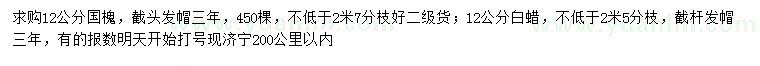 求購12公分國槐、白蠟