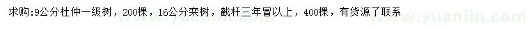 求購9公分杜仲、16公分欒樹