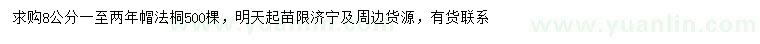 求購8公分法桐