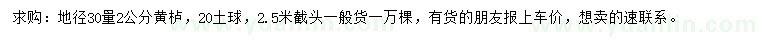 求購地徑30量2公分黃櫨