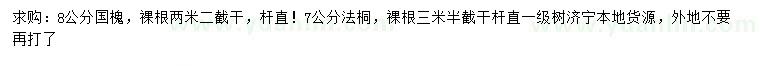 求購8公分國槐、7公分法桐