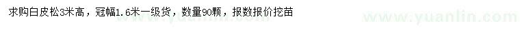 求購高3米白皮松
