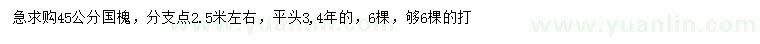 求購45公分國槐