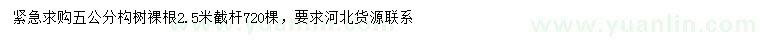 求購5公分構樹