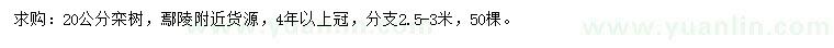 求購20公分欒樹