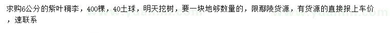 求購6公分紫葉稠李