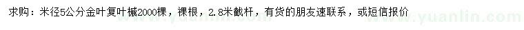 求購米徑5公分金葉復(fù)葉槭