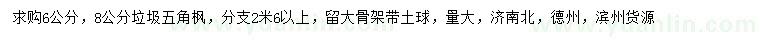 求購6、8公分垃圾五角楓