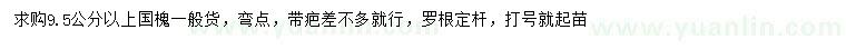 求購9.5公分以上國槐