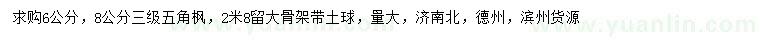 求購6、8公分五角楓