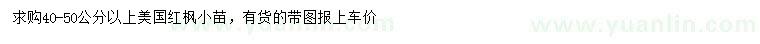 求購40-50公分以上美國紅楓