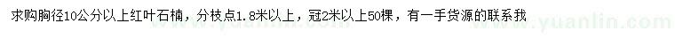 求購胸徑10公分以上紅葉石楠