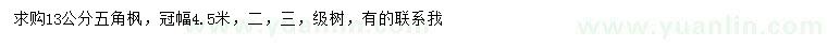 求購(gòu)13公分五角楓