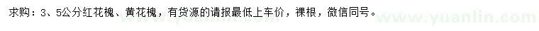 求購3、5公分紅花槐、黃花槐